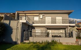 Elvira'S Houses
